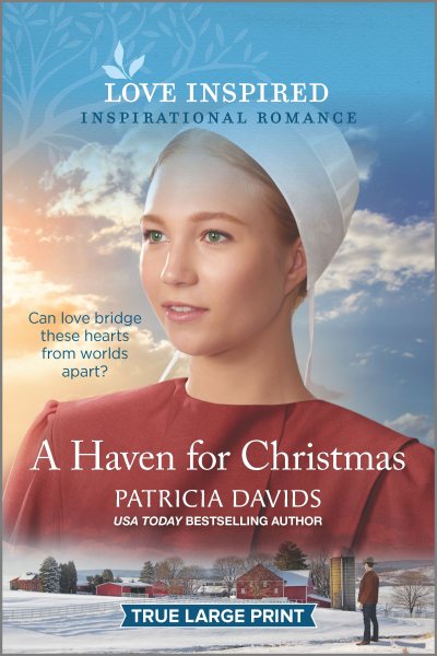 A Haven for Christmas (North Country Amish, 3) cover