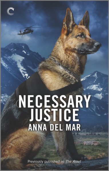 Necessary Justice cover