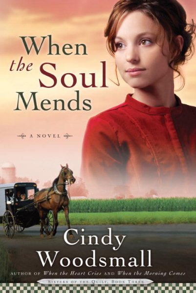 When the Soul Mends (Sisters of the Quilt, Book 3) cover