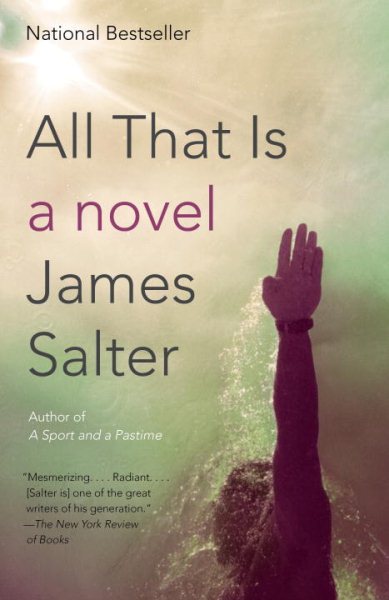 All That Is: A Novel (Vintage International) cover