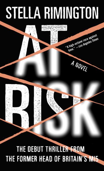 At Risk: A Novel cover