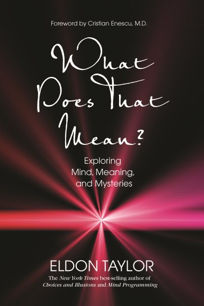 What Does That Mean?: Exploring Mind, Meaning, and Mysteries cover