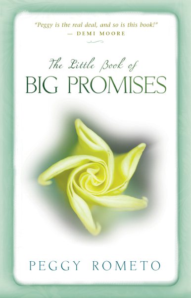 The Little Book of Big Promises cover