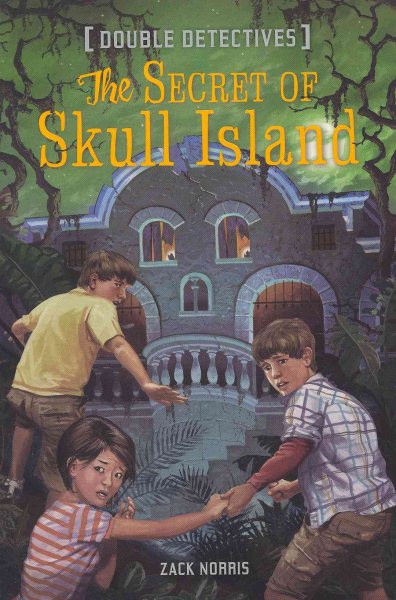 The Secret of Skull Island (Double Detectives) cover