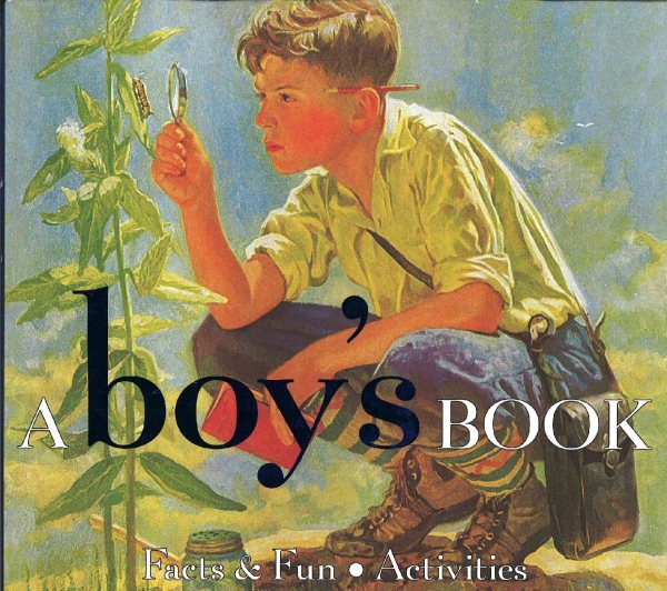 A Boy's Book (Gift Books) cover