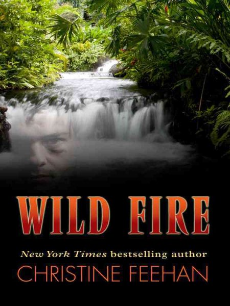 Wild Fire (Thorndike Press Large Print Romance Series) cover