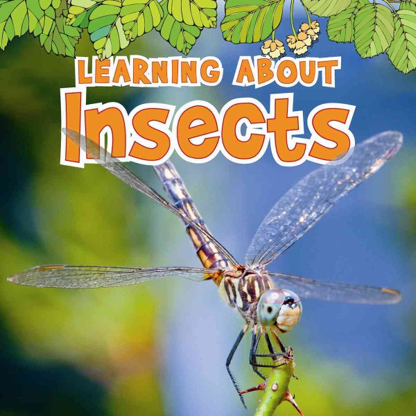 Learning About Insects (The Natural World) cover