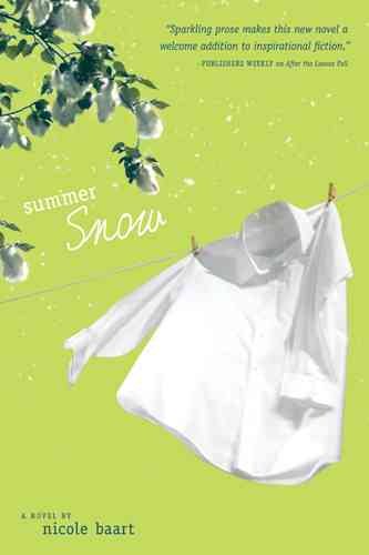 Summer Snow cover