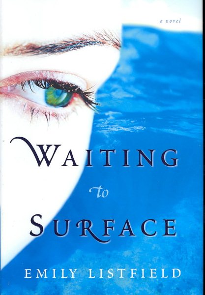 Waiting to Surface: A Novel cover