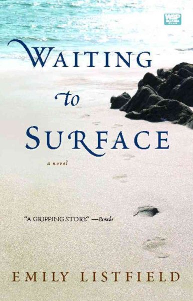 Waiting to Surface: A Novel cover