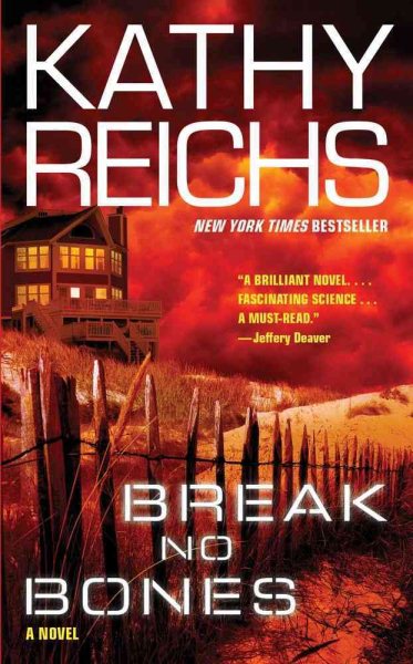 Break No Bones: A Novel cover