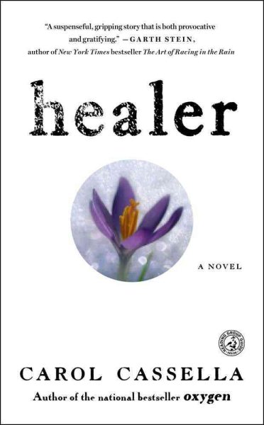 Healer: A Novel cover