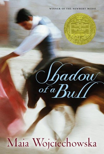 Shadow of a Bull cover