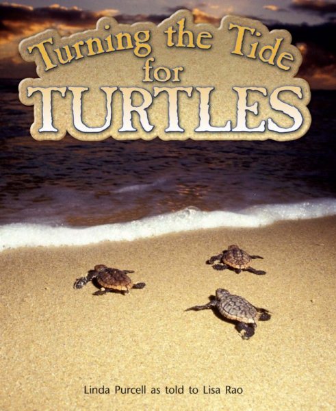 Turning the Tide for Turtles: Leveled Reader Grade 4 (Rigby Literacy by Design)
