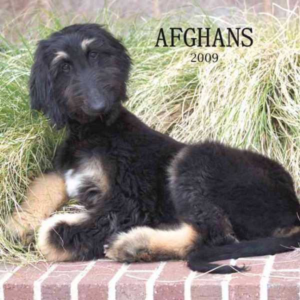 Afghans 2009 Square Wall Calendar cover