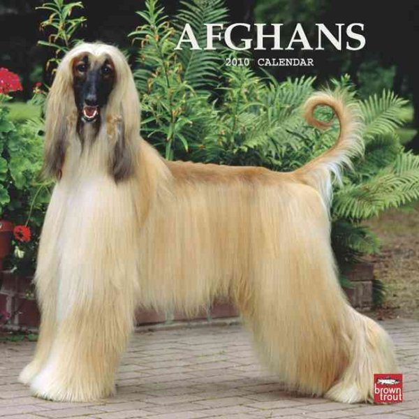 Afghans 2010 Square Wall cover