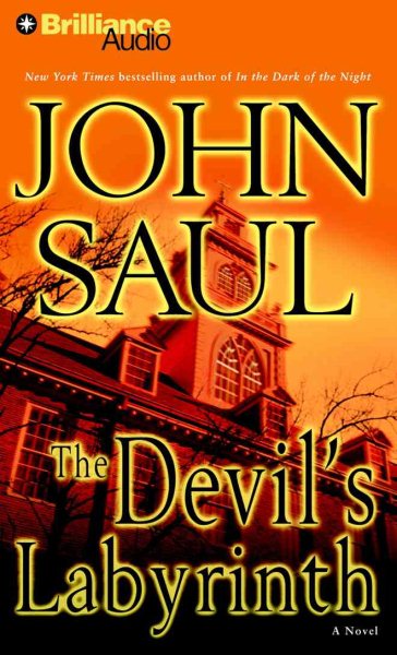 The Devil's Labyrinth: A Novel cover