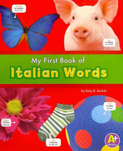 My First Book of Italian Words (Bilingual Picture Dictionaries) (English and Italian Edition) cover