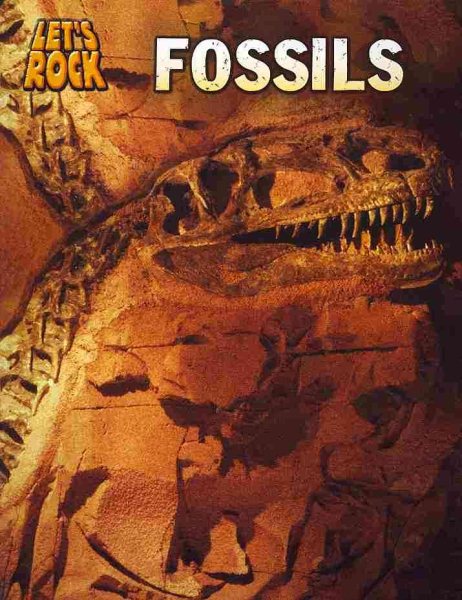 Fossils (Let's Rock)