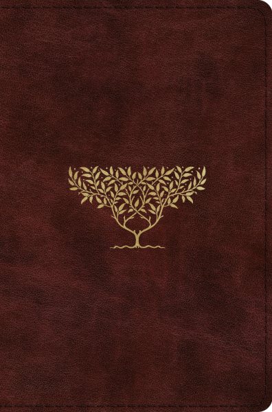 ESV Compact Bible (TruTone, Burgundy, Olive Tree Design) cover