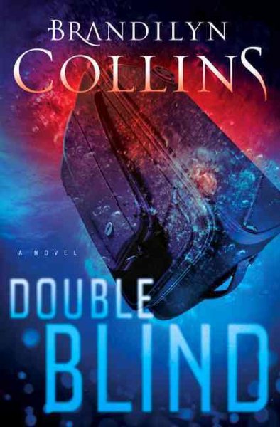 Double Blind: A Novel cover