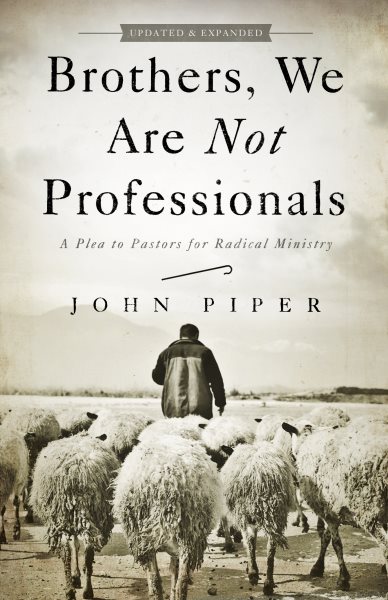 Brothers, We Are Not Professionals: A Plea to Pastors for Radical Ministry, Updated and Expanded Edition cover