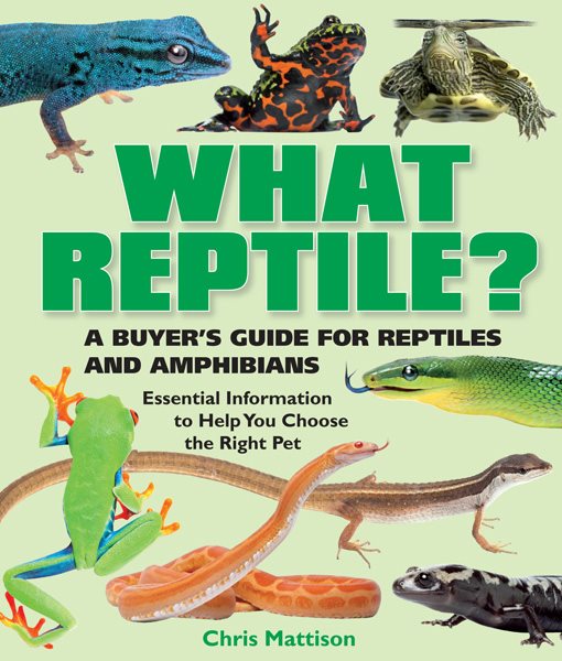What Reptile?: A Buyer's Guide for Reptiles and Amphibians cover