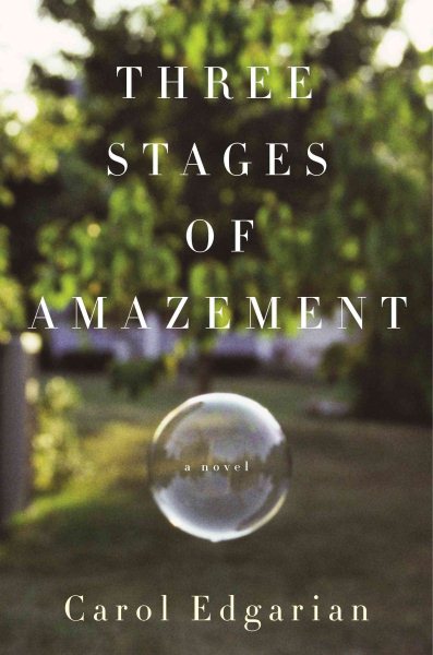 Three Stages of Amazement: A Novel cover