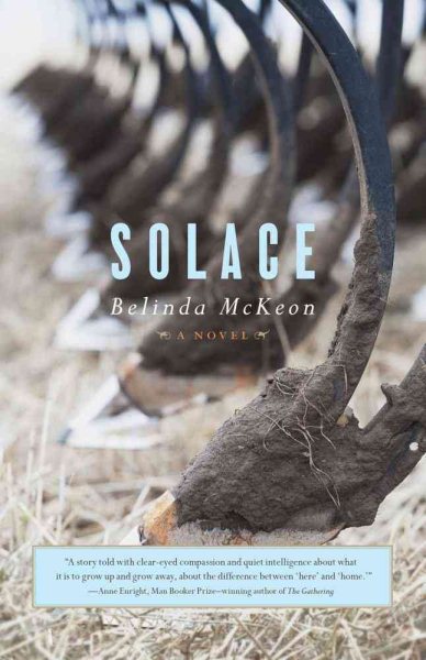 Solace: A Novel cover
