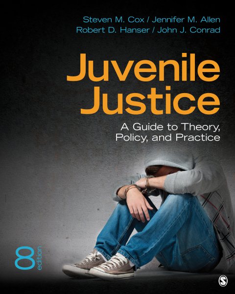 Juvenile Justice: A Guide to Theory, Policy, and Practice cover