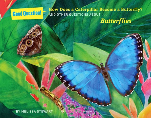 How Does a Caterpillar Become a Butterfly?: And Other Questions About Butterflies (Good Question!) cover
