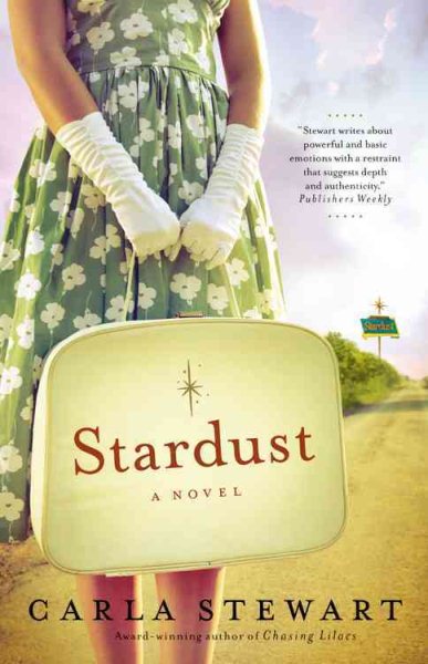 Stardust: A Novel cover