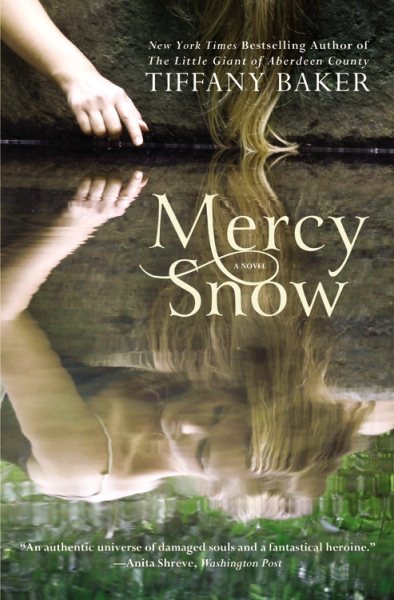 Mercy Snow: A Novel cover