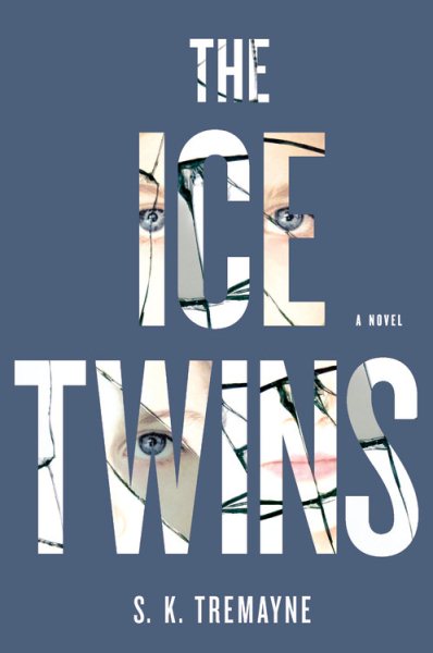 The Ice Twins: A Novel cover