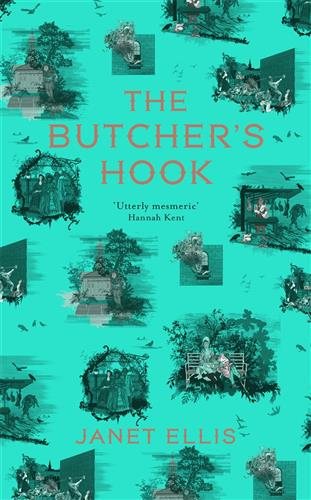 The Butcher's Hook: Longlisted for the Desmond Elliott Prize 2016 cover