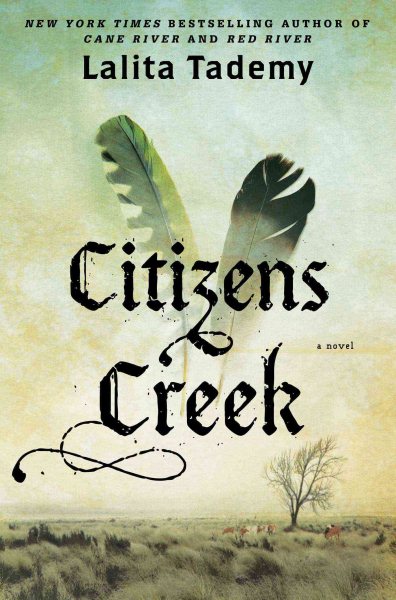 Citizens Creek: A Novel cover