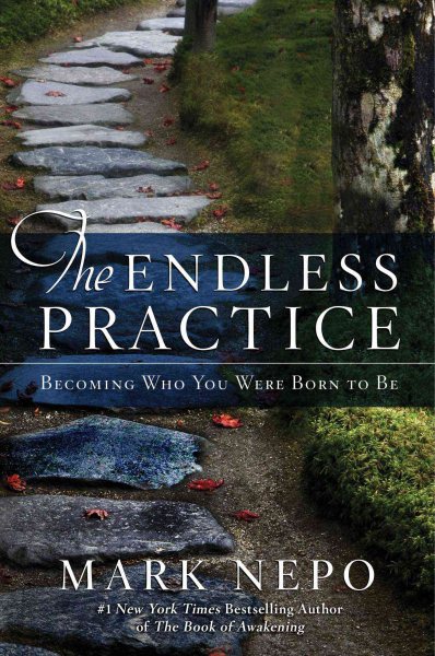 The Endless Practice: Becoming Who You Were Born to Be cover