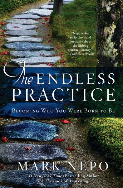 The Endless Practice: Becoming Who You Were Born to Be cover