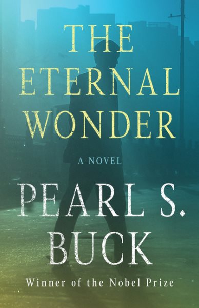 The Eternal Wonder: A Novel cover