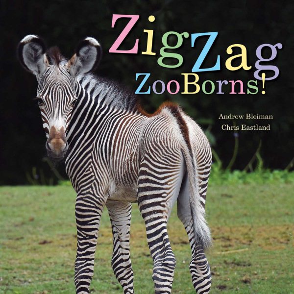 ZigZag ZooBorns!: Zoo Baby Colors and Patterns cover
