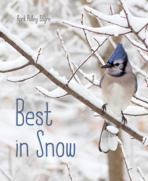 Best in Snow (Weather Walks) cover