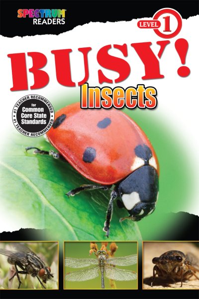BUSY! Insects (Spectrum® Readers) cover