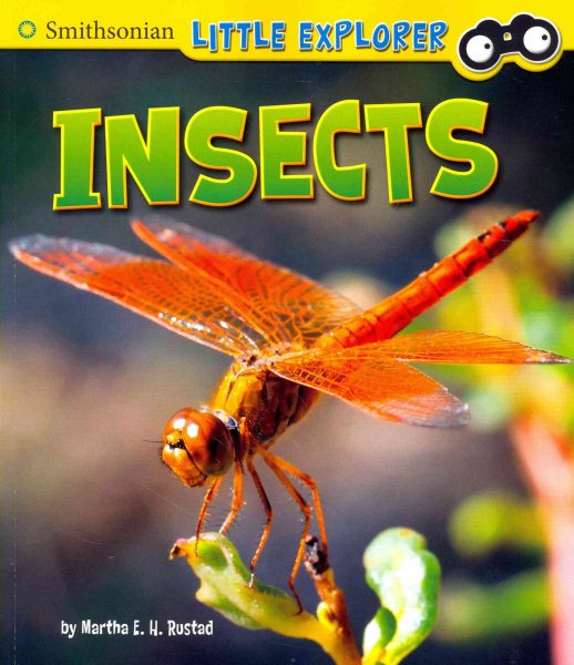 Insects (Little Scientist)