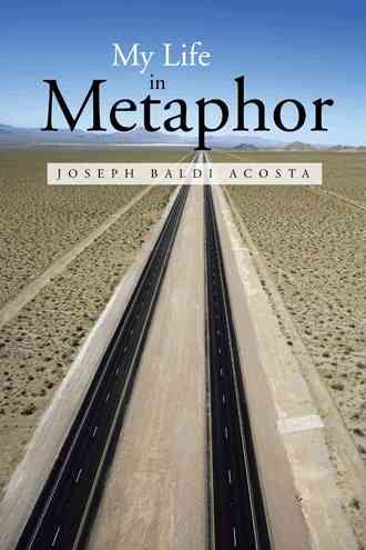 My Life in Metaphor cover