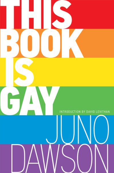 This Book Is Gay cover