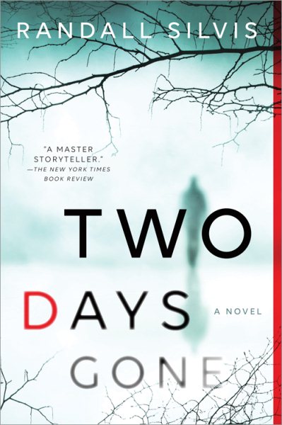 Two Days Gone: A Literary Thriller (Ryan DeMarco Mystery, 1) cover