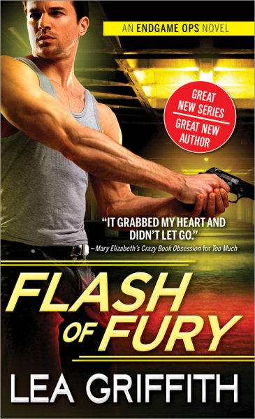 Flash of Fury (Endgame Ops, 1) cover