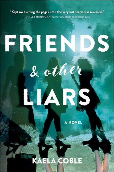 Friends and Other Liars: A Novel cover