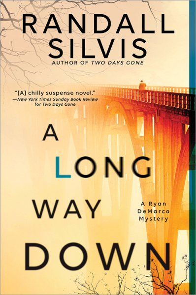 A Long Way Down: A Literary Thriller (Ryan DeMarco Mystery, 3) cover