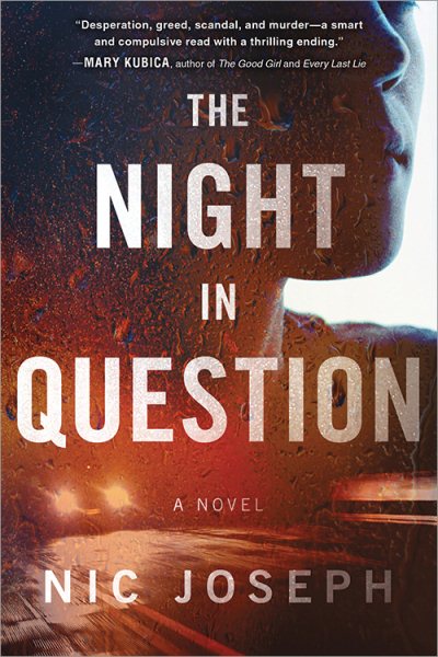 The Night in Question: A Novel cover